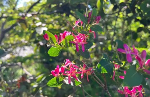 怎么敗火是最有效的？自然療法與生活習(xí)慣調(diào)整