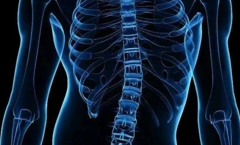 一個動作自測是否有脊柱側(cè)彎：簡單步驟與重要性