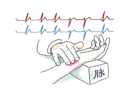 脈象分為哪幾種：中醫(yī)脈診的基礎(chǔ)知識