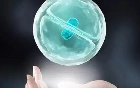 輔助生殖技術(shù) 輔助生殖技術(shù)