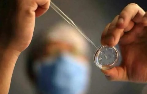 怎么去泰國做試管嬰兒比較可靠？2024去泰國做試管的攻略