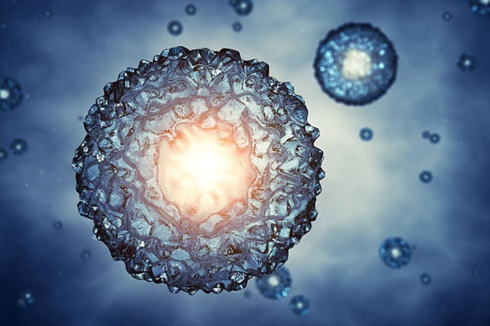 試管卵泡少成功率高嗎？試管嬰兒卵泡和成功率的關(guān)系