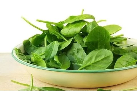 四季飲食養(yǎng)生之道：順應(yīng)自然規(guī)律的健康生活