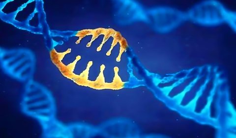 哪些遺傳病傳男不傳女？解讀性別特異性遺傳模式