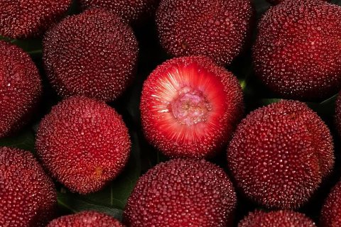 楊梅是減肥人士的福音：探索夏季超級(jí)水果的瘦身秘訣