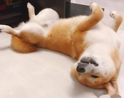 什么樣的睡姿對(duì)脊柱好：優(yōu)化你的睡眠質(zhì)量