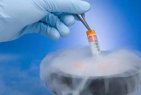 做試管需要關注哪些指標和內(nèi)容？試管嬰兒治療的關鍵因素