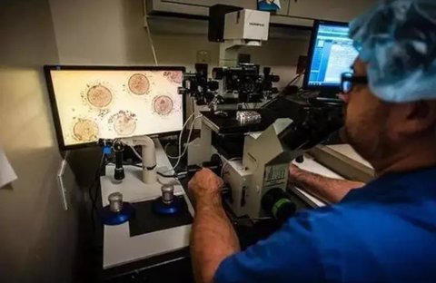 泰國凍卵需要什么條件？泰國凍卵需要的條件