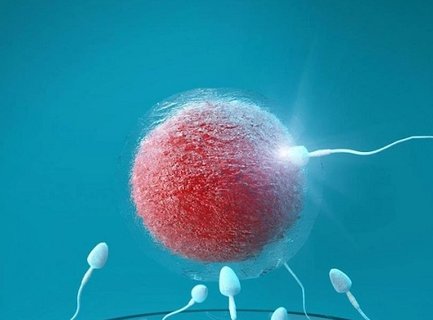 凍卵香港醫(yī)院需要提前多久預(yù)約？預(yù)約流程及注意事項