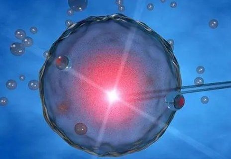 凍卵解凍成功率是多少？凍卵解凍成功率解析