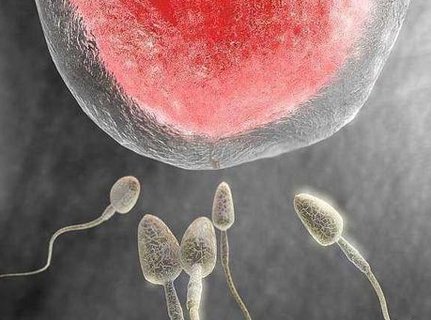 凍卵國內(nèi)合法嗎？中國凍卵需要什么條件？