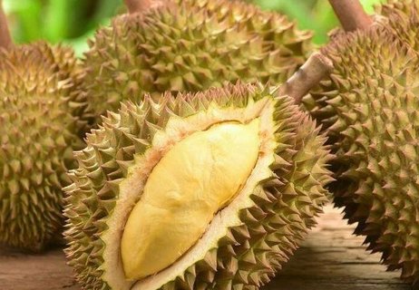 怎么挑榴蓮才能挑到好吃的？3招教你挑報恩榴蓮