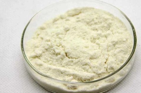 蜂王漿凍干粉對身體好嗎？蜂王漿凍干粉的作用與功效