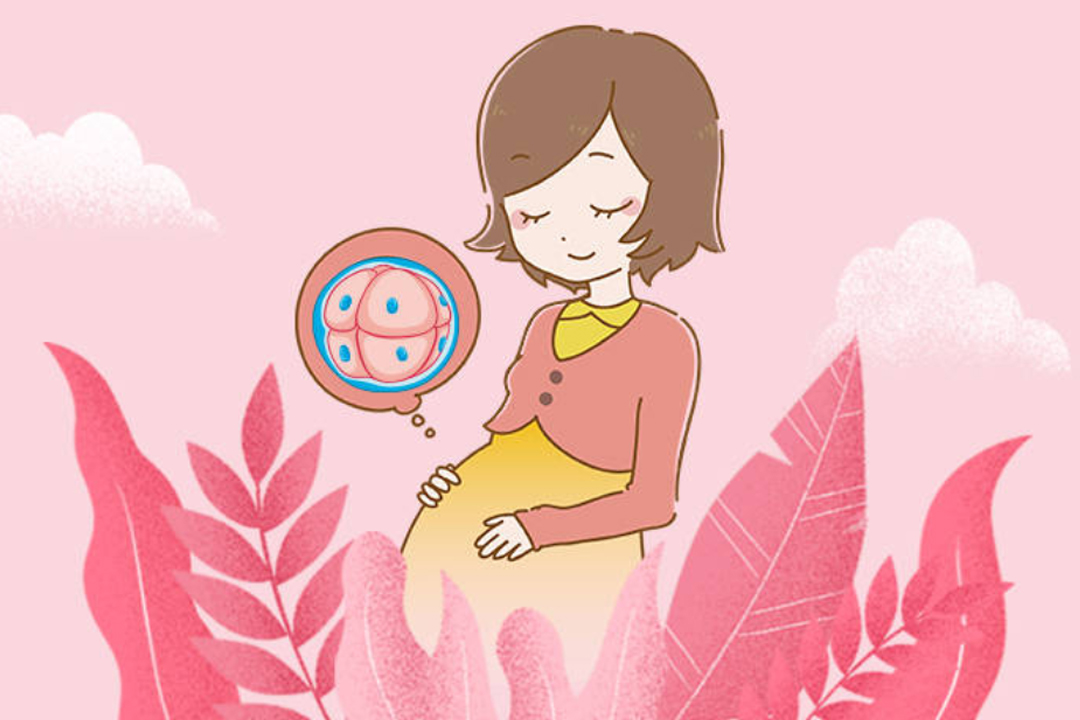 2024做試管嬰兒多少錢？2024試管收費(fèi)價(jià)目表