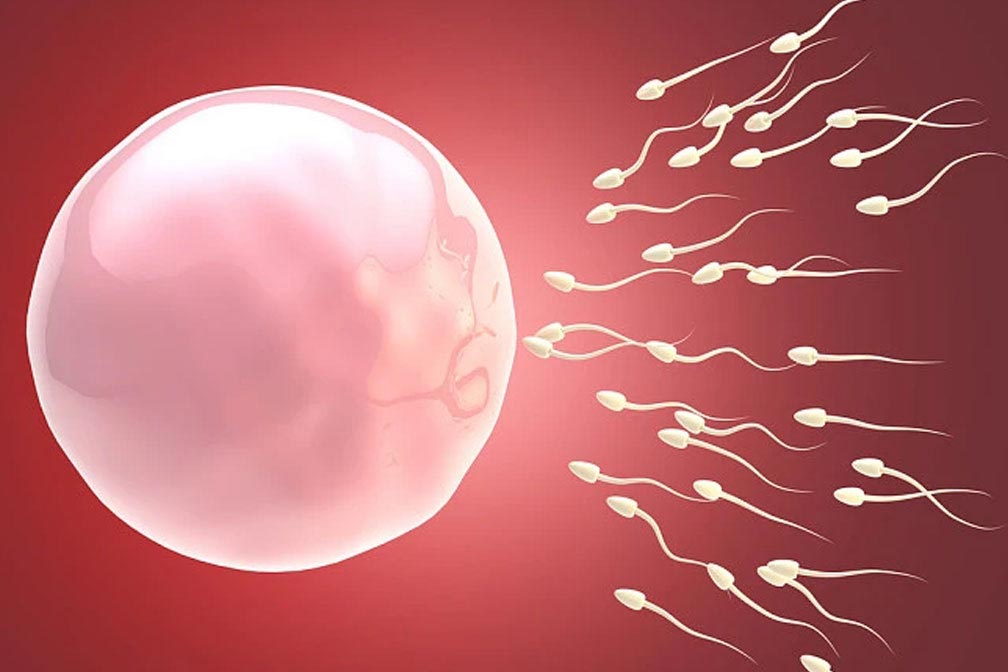 少弱精子癥能治好嗎？改善生育能力的希望與方法
