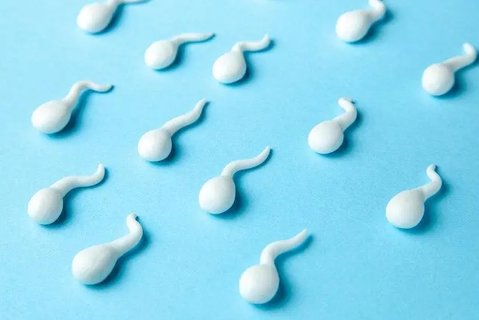 精子畸形率高可以治療嗎？改善精子質(zhì)量的方法