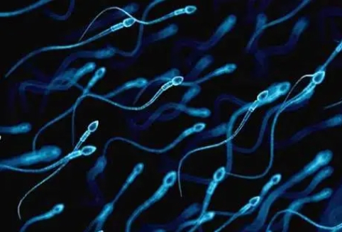 精子畸形率高能做試管嬰兒嗎？畸精癥做試管成功率