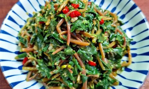 馬齒莧的吃法用法怎么吃最好？馬齒莧的最佳食用方法