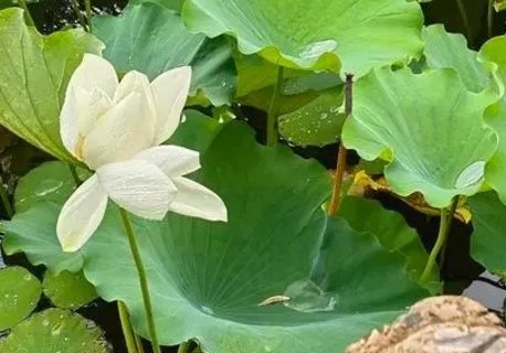 夏天這7種病或是省出來(lái)！夏天切不可瞎省錢