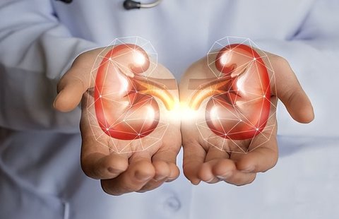 想要鍛煉腎最好做什么運動？十大鍛煉腎最好的運動