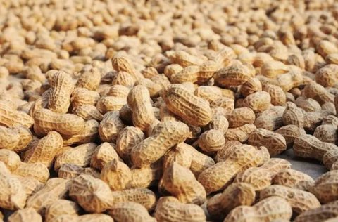 女人花生吃多了會怎樣？女人經常吃花生的好處和壞處