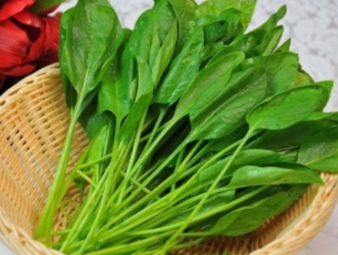 哪些蔬菜含維生素多？維生素高的蔬菜排名