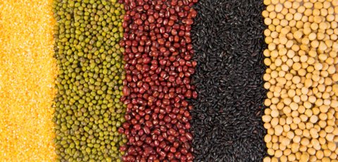 粗糧主食有哪些？粗糧主食的種類大全