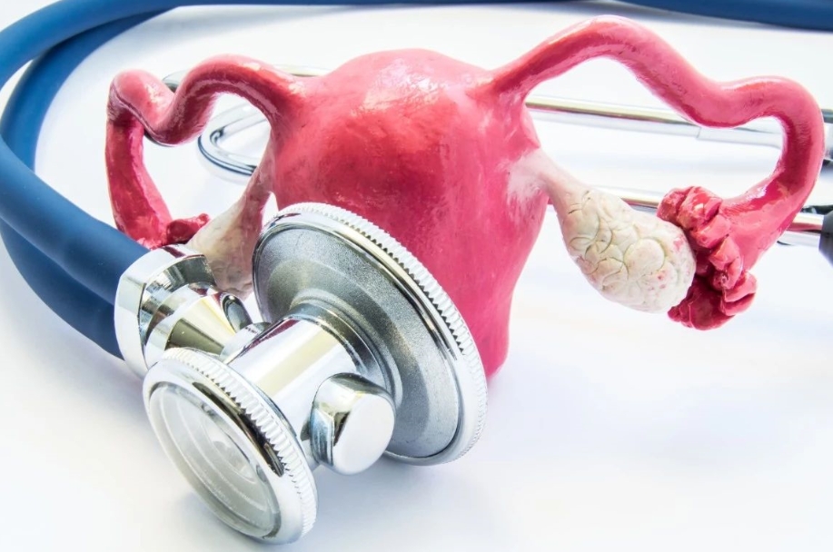 輸卵管上舉要怎么樣才能懷孕？輸卵管上舉的受孕方法