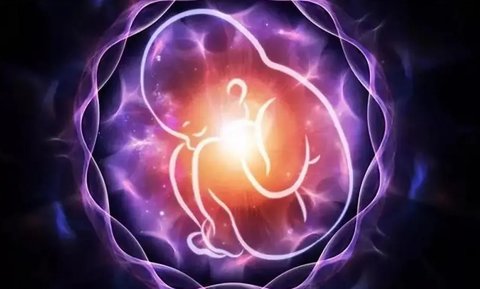 胚胎送檢可以找到胎停原因嗎？探索胚胎檢測(cè)在診斷胎停育中的作用