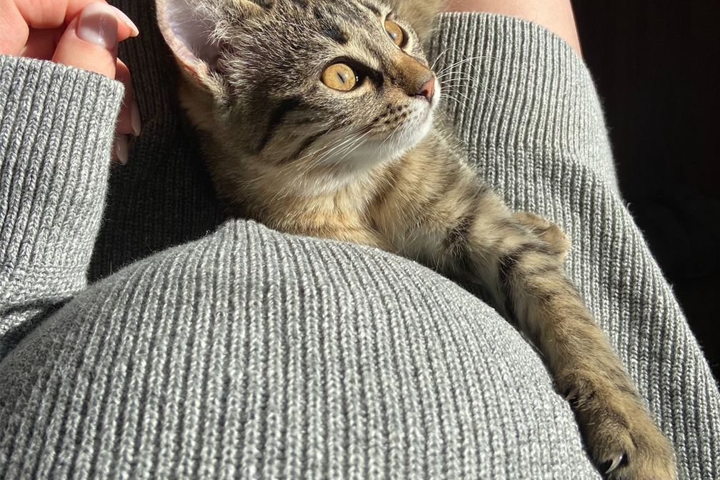 三代試管5萬能搞定嗎？費(fèi)用與選擇的深度分析