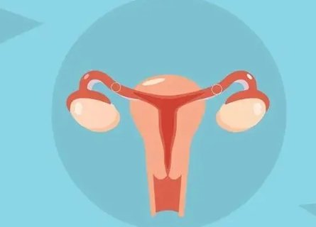 輸卵管堵塞做試管成功率高嗎？輸卵管堵塞對(duì)試管的影響