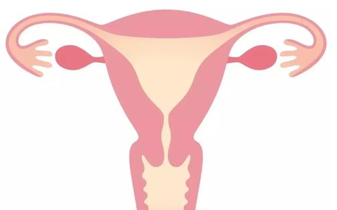 是做試管好還是治療輸卵管好？輸卵管問(wèn)題決策方法