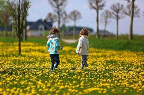 卵巢功能失調(diào)影響懷孕嗎？對(duì)懷孕的影響及應(yīng)對(duì)策略