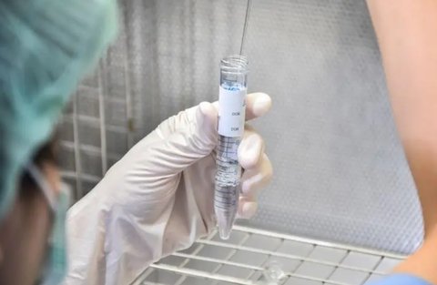 去泰國做試管男方要去幾次？詳解泰國試管嬰兒流程