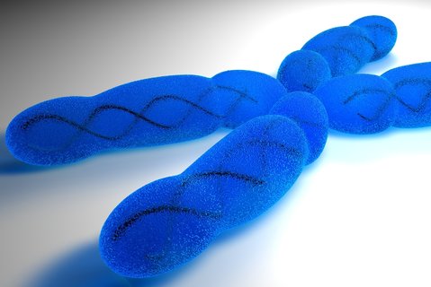 夫妻染色體有問題可以做試管嬰兒嗎？