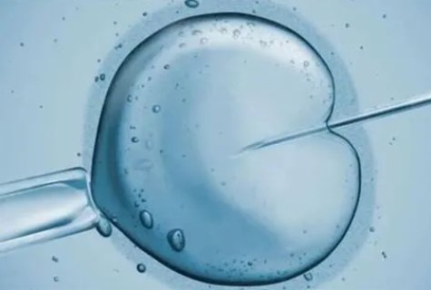 試管嬰兒需要在女性肚子里面嗎？試管嬰兒相關(guān)問題