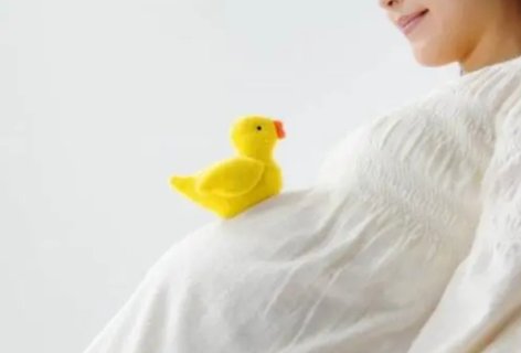 試管嬰兒全流程費用解析：2024年詳細價格指南