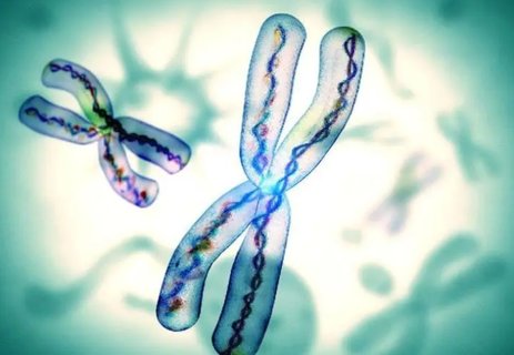 三代試管染色體篩查準確率高嗎？高準確率助力優(yōu)生優(yōu)育