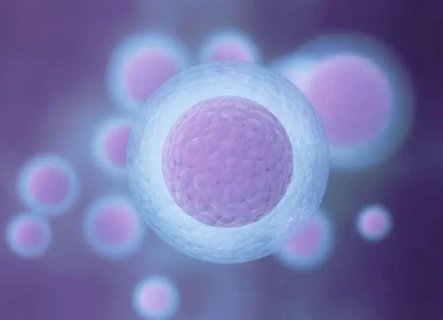 試管第二次成功率比第一次高嗎？二次試管成功率解析