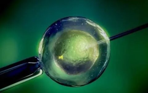 試管移植月經(jīng)干凈多少天可以移植？