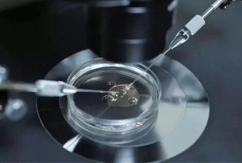 做試管是男的不行還是女的不行？