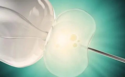 三代試管 三代試管