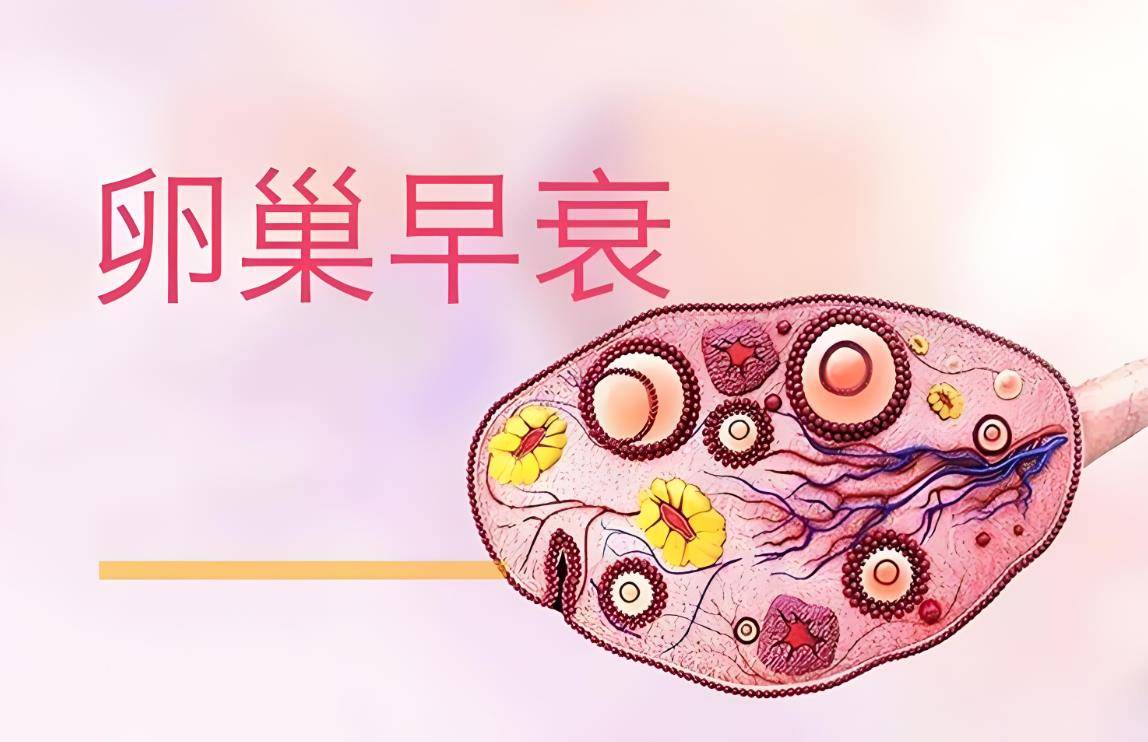 泰國試管前卵巢早衰該怎樣調(diào)理,卵巢早衰泰國試管嬰兒流程