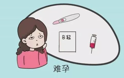 久備不孕怎么提高懷孕幾率？專家策略與生活方式調(diào)整