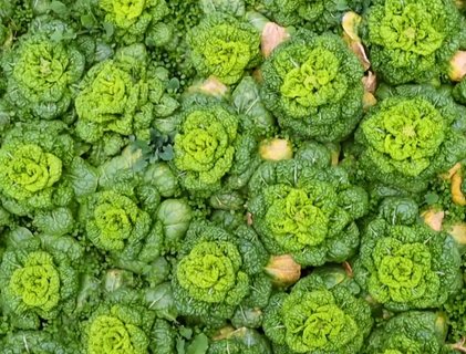 備孕期間男人吃什么補(bǔ)精？男性備孕營(yíng)養(yǎng)攻略