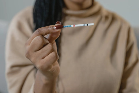 揭秘試管嬰兒性別比例：優(yōu)質(zhì)胚胎是否傾向男孩？