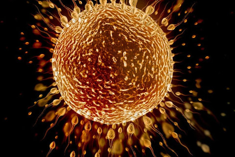 中山大學(xué)附屬第一醫(yī)院試管嬰兒：費用概覽與技術(shù)優(yōu)勢