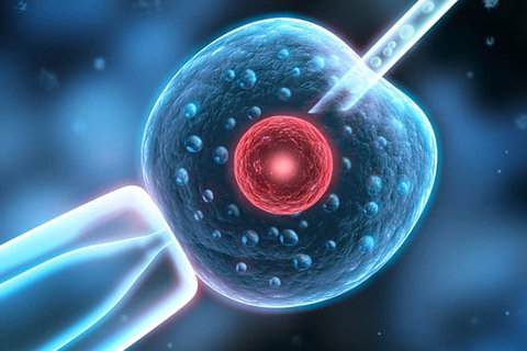 深圳恒生醫(yī)院做試管費用是多少？費用明細(xì)與技術(shù)優(yōu)勢