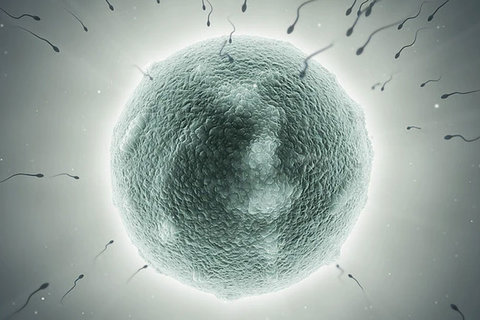 深圳市婦幼保健院做試管嬰兒多少錢？費用一覽2025