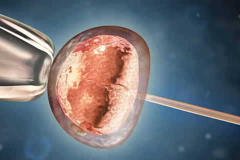 深圳市羅湖區(qū)人民醫(yī)院做試管要多少錢？費用解析